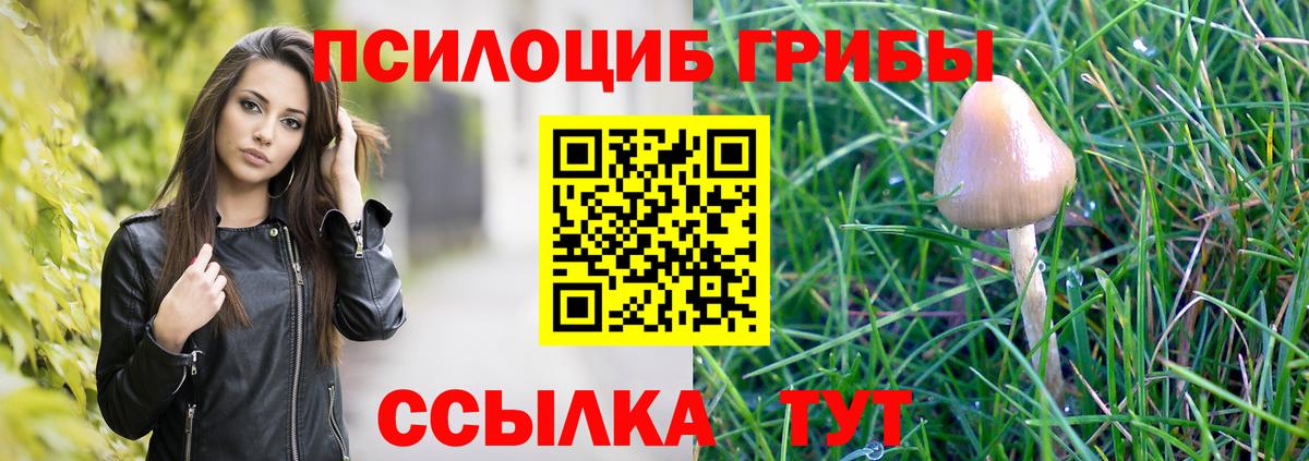 Псилоцибиновые грибы Cubensis Котельники