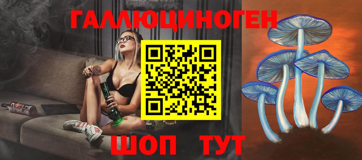 Галлюциногенные грибы GOLDEN TEACHER  Вход с VPN  Котельники 